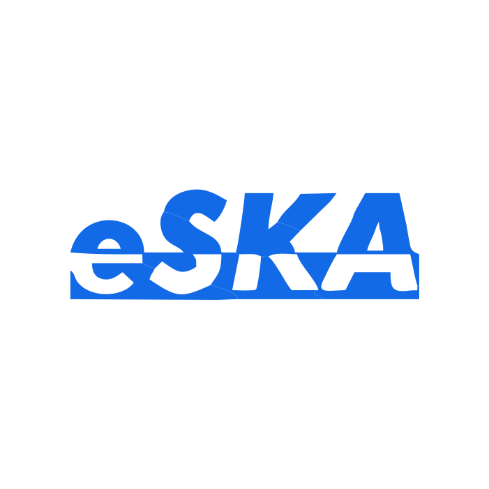 Icon E-SKA